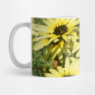 Yellow Daisy Flowers Mug